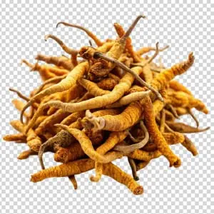 Prostabliss ingredients